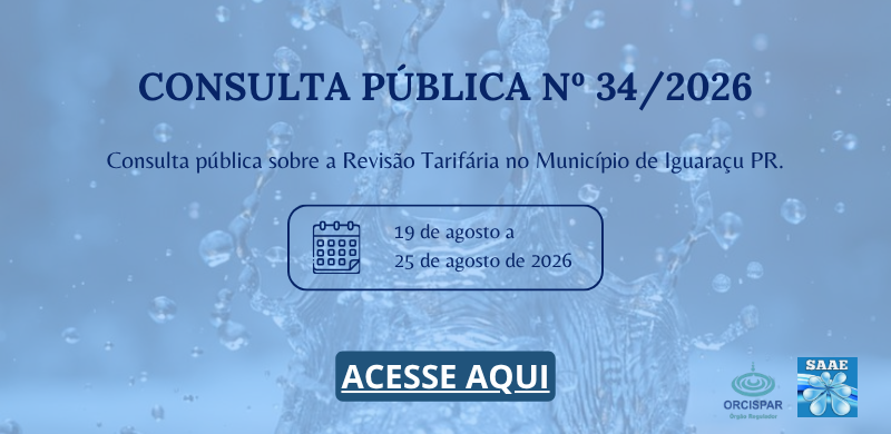 consulta publica